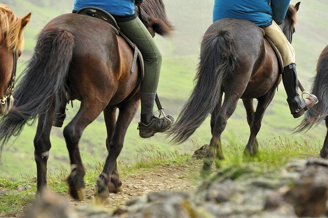 Golden Circle & Viking Horse Experience - Thingvellir National Park: Walking Between History and Lava