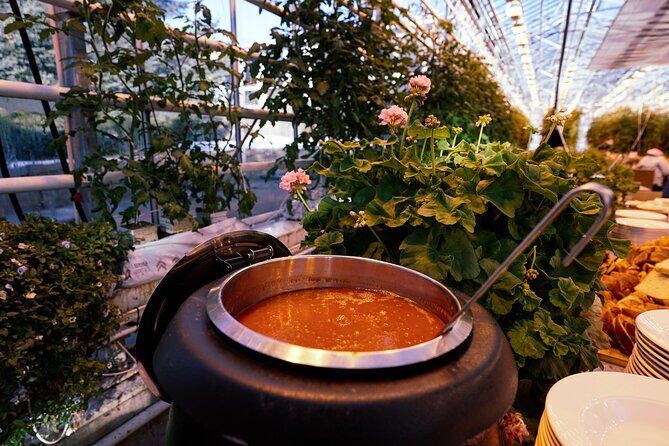 Golden Circle with Tomato Farm Lunch & Secret Lagoon Bathing - Price and Logistics: What $229 Really Buys You