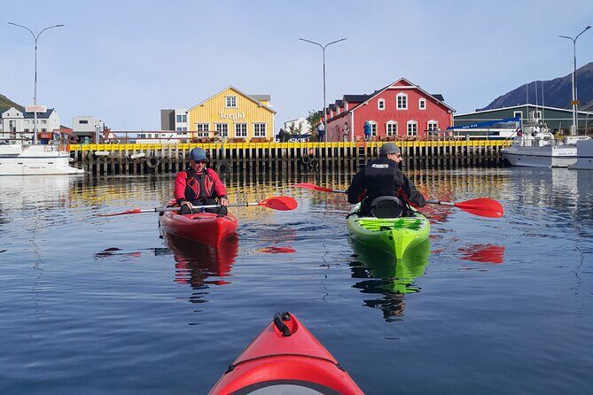 Guided kayak tour in Siglufjörður / Siglufjordur. - Key Points Before You Go