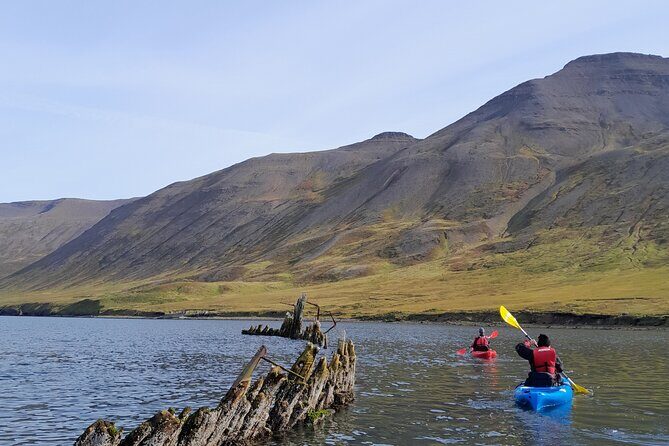 Guided kayak tour in Siglufjörður / Siglufjordur. - Why Siglufjörður Looks Different From a Kayak