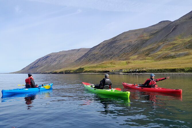 Guided kayak tour in Siglufjörður / Siglufjordur. - On-Water Highlights: Shipwreck, Evanger Avalanche Site, Selvíkurnef Lighthouse