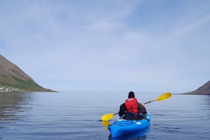 Guided kayak tour in Siglufjörður / Siglufjordur. - Price and Value: What $97.43 Buys You (and What Doesn’t)