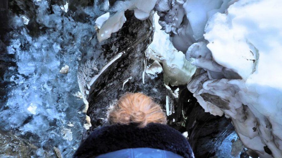 Gullfoss: Ice Cave and Glacier Tour in Glacier Monster Truck - What the Guide Teaches About Glaciers (And Why It Changes How You See Them)