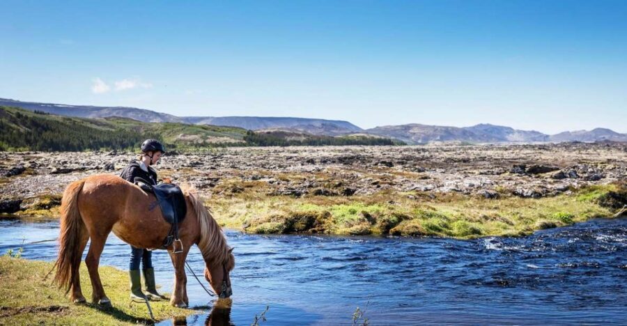 Hafnarfjörður: Horseback Riding Tour in Reykjavik Area - Why Hafnarfjörður Horseback Riding Feels Like a Reykjavik Escape