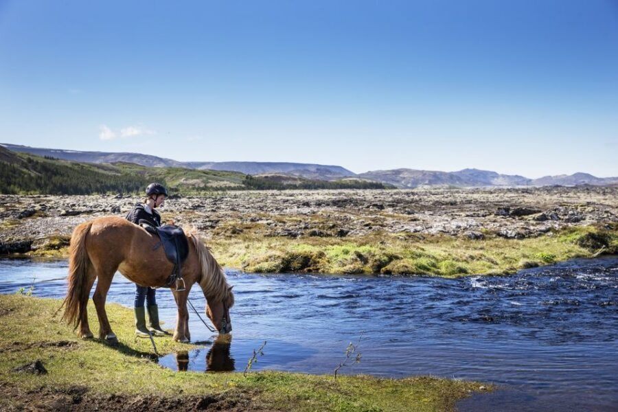 Hafnarfjörður: Horseback Riding Tour in Reykjavik Area - Meeting Íshestar at Sörlaskeið 26: Gear, Boots, and Valuables