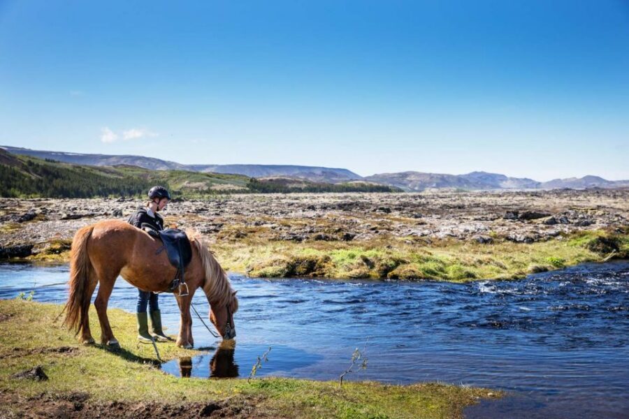 Hafnarfjörður: Horseback Riding Tour in Reykjavik Area - The Trail Details: Lava Fields and Bláfjöll Mountain Views