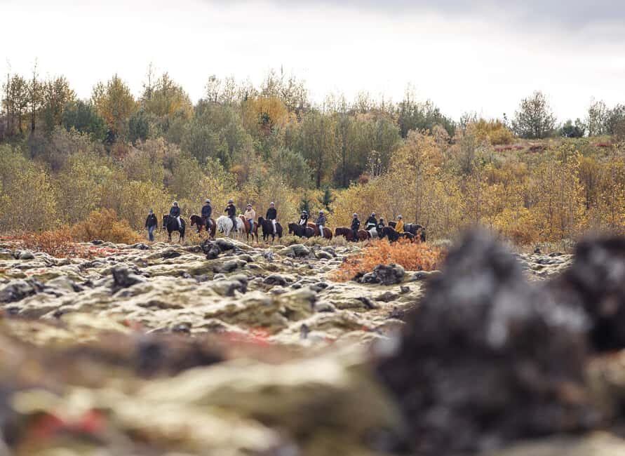 Hafnarfjörður: Horseback Riding Tour in Reykjavik Area - Icelandic Horses: How the Breed Makes It Easier