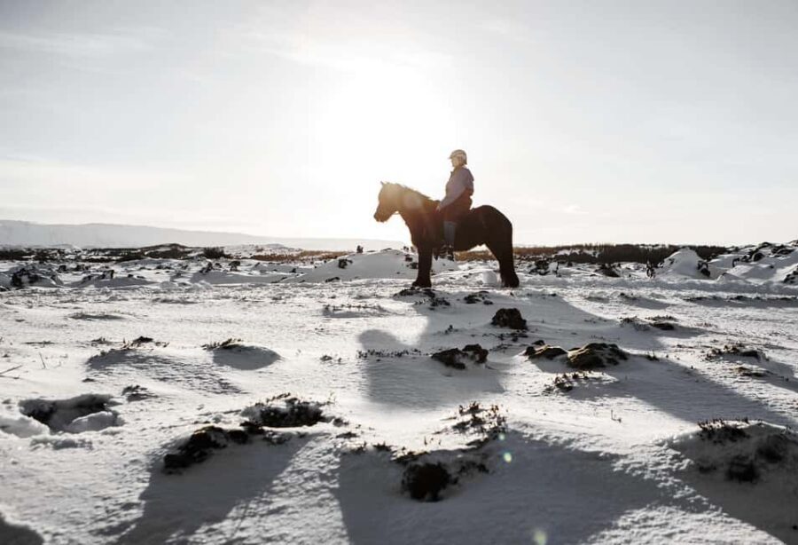 Hafnarfjörður: Horseback Riding Tour in Reykjavik Area - Weather, Cameras, and Packing Tips That Actually Matter