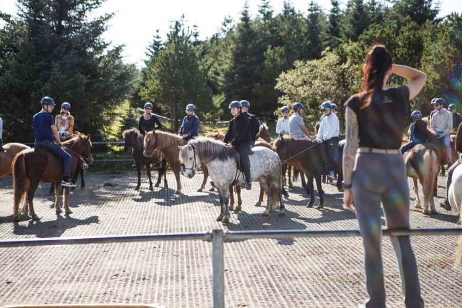 Hafnarfjörður: Horseback Riding Tour in Reykjavik Area - Should You Book This Hafnarfjörður Horse Tour?