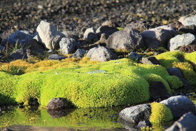 Highlights of Iceland / private guided super Jeep tour - Deildartunguhver: the Northern Hemisphere’s busiest hot spring