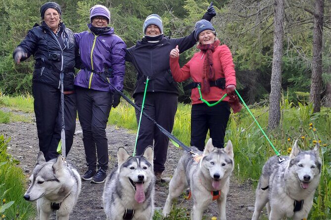 Hiking with Husky in Akureyri - Key highlights