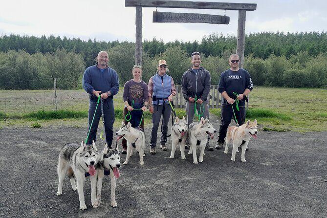 Hiking with Husky in Akureyri - Husky Family Hike Near Akureyri