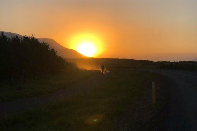 Hiking with Husky in Akureyri - The Husky-Led Hike: What the 2 Hours Feels Like