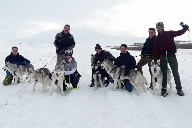 Hiking with Husky in Akureyri - What This Experience Teaches You (Even If You Know Nothing About Huskies)