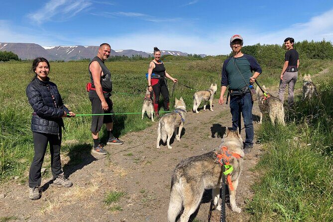Hiking with Husky in Akureyri - Who Should Book This Husky Hike in Akureyri