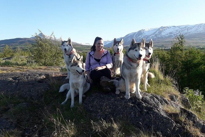 Hiking with Husky in Akureyri (private) - More than a hike: photos, cuddles, and husky know-how