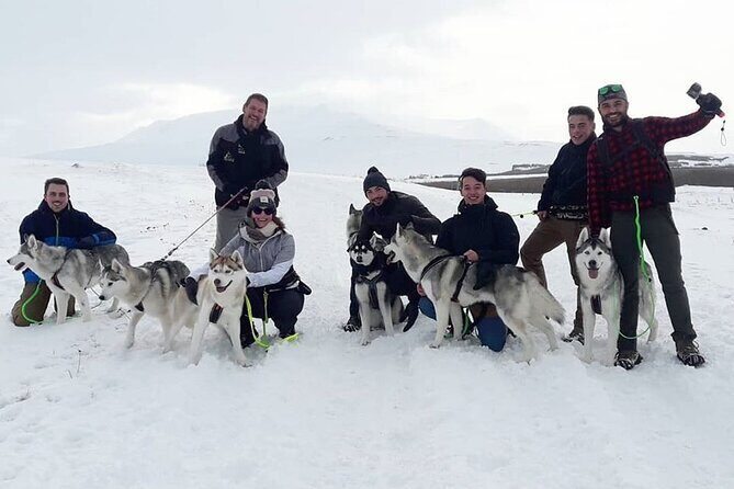 Hiking with Husky in Akureyri (private) - Price and value: what you’re paying for