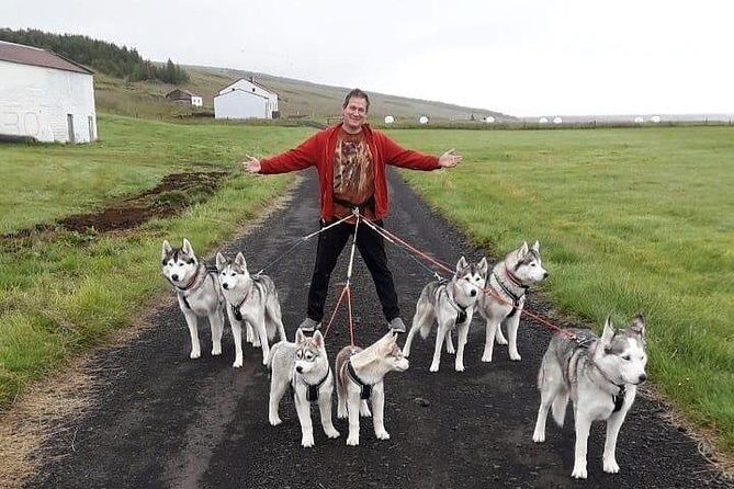Hiking with Husky in Akureyri (private) - Should you book the private husky hike with goHusky?