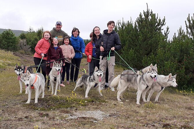 Hiking with Husky in Akureyri - Pre-Walk Welcome: Gear Up and Learn How Huskies Work