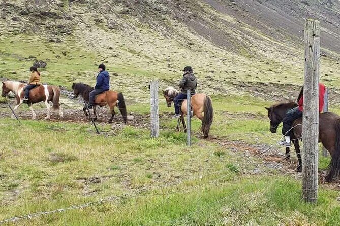 Horse Riding Tour in Reykjadalur (Smoky Valley)-All Riding Levels - Gear and Pre-Ride Basics: What You Actually Get