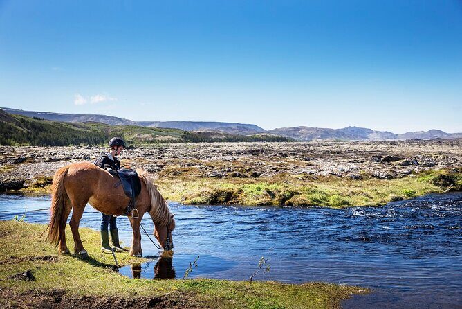 Horseback Riding Tour in Iceland - Key Things to Know Before You Ride