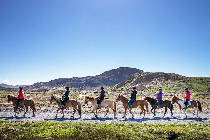 Horseback Riding Tour in Iceland - Your 50-Minute Itinerary: From Safety Brief to Mossy Lava Trail