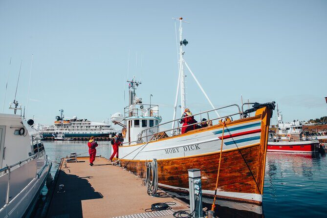 Húsavík Whale Watching Tour, family owned and operated - The 3-hour route: from Friends of Moby Dick toward Kinnarfjöll