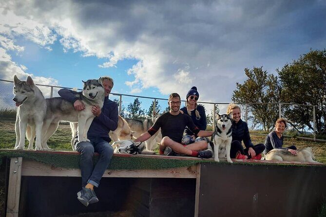 Husky Petting in Akureyri (private) - How the private husky visit works (and what you get in an hour)