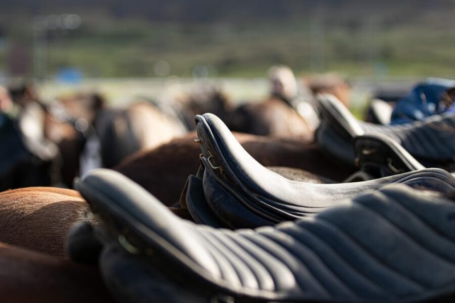 Hveragerdi: Countryside Charm Horse Riding Tour - Quick hit points before you go