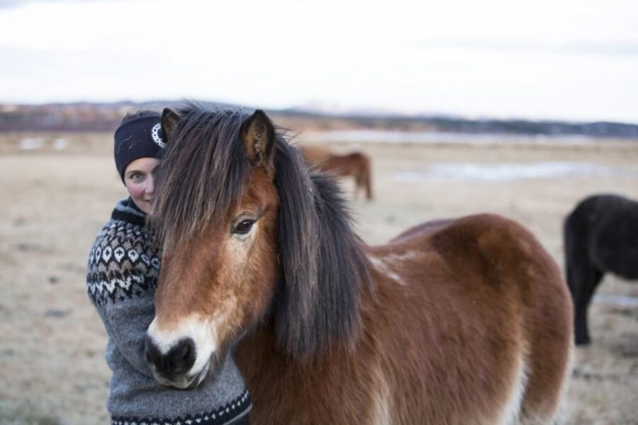 Hveragerdi: Countryside Charm Horse Riding Tour - What to wear and bring: my checklist for a comfortable Iceland horse ride
