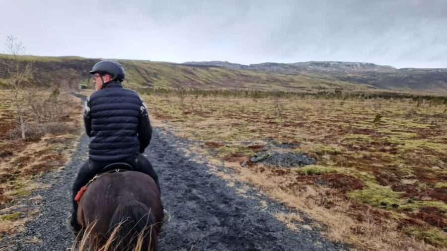 Hveragerði: Horseback Riding Tour for Beginners and … - Inside the 1-Hour Ride: Timing, Stops, and What You’ll Actually Do