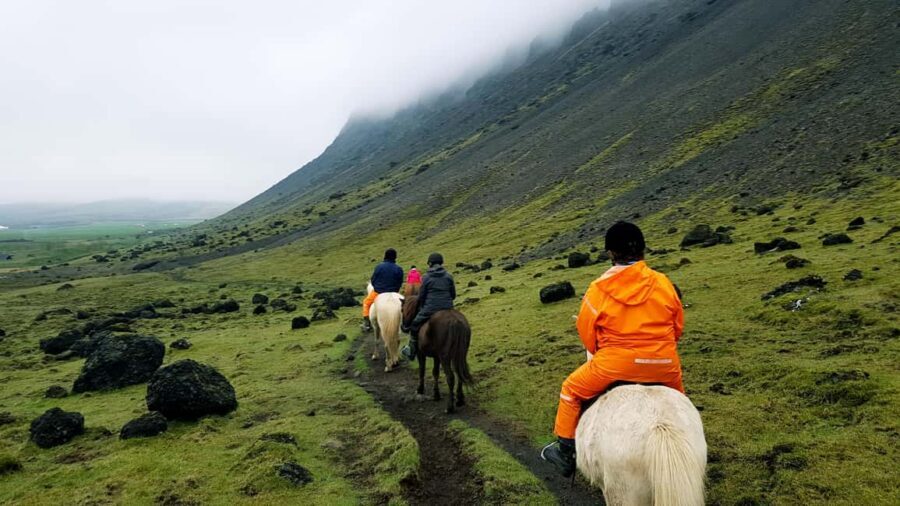 Hveragerði: Horseback Riding Tour for Beginners and … - Meeting Point and Prep: Where to Go and How to Avoid Stress