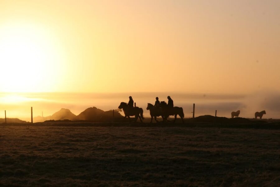 Hveragerdi: The Siggi Horse Riding Tour - Reykjavík Pickup: 8:00 or 13:00, With an Eldhestar Van