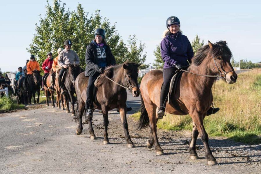 Hveragerdi: The Siggi Horse Riding Tour - Tölt Time: How the Icelandic Gait Fits Into This Ride