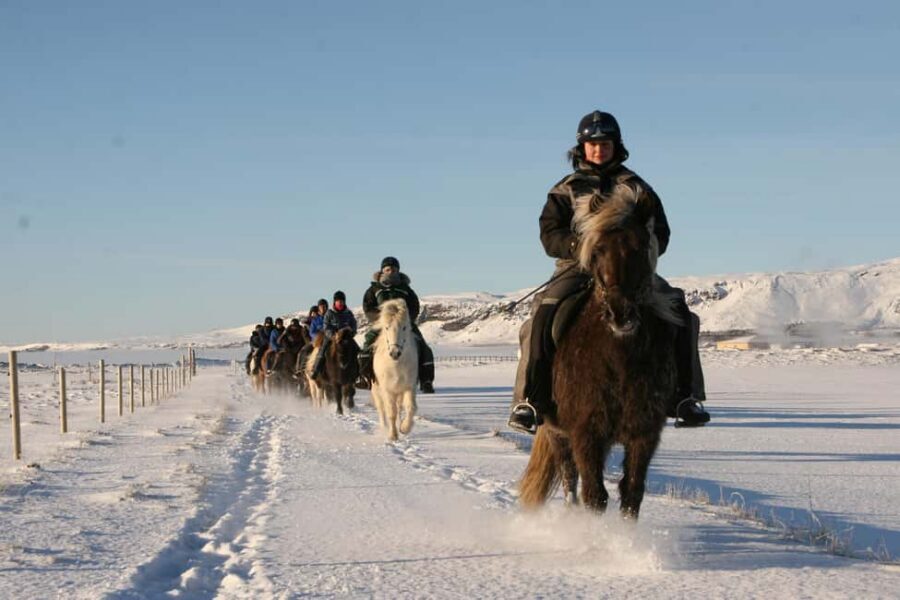 Hveragerdi: The Siggi Horse Riding Tour - Price and Value: What $132 Gets You (and What It Doesn’t)
