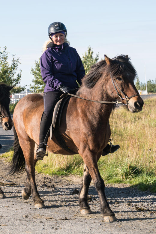 Hveragerdi: The Siggi Horse Riding Tour - Who This Siggi Horse Riding Tour Fits Best