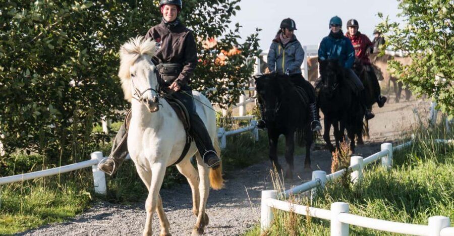 Hveragerdi: The Siggi Horse Riding Tour - Small Practical Tips That Make the Ride Smoother