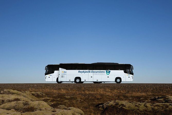 Iceland: Airport Transfers between Keflavík and Reykjavik Center - Your Drop-Off at BSÍ: Reykjavik’s Main Bus Terminal