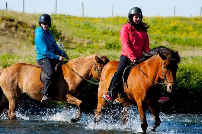 Icelandic Horse Riding and Whale Watching Cruise from Reykjavík - Timing and flow: a true 8-hour day that still feels manageable