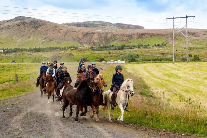 Icelandic Horse Riding and Whale Watching Cruise from Reykjavík - Entering the day at Hótel Eldhestar (with real time to gear up)