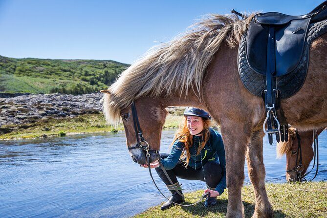 Icelandic Horse Riding and Whale Watching Tour from Reykjavik - Key points worth knowing before you go