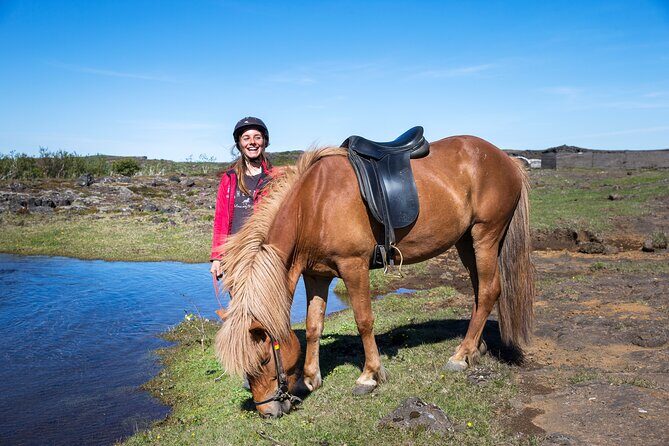Icelandic Horse Riding and Whale Watching Tour from Reykjavik - Old Harbor and the hi-tech boat ride into Faxaflói Bay