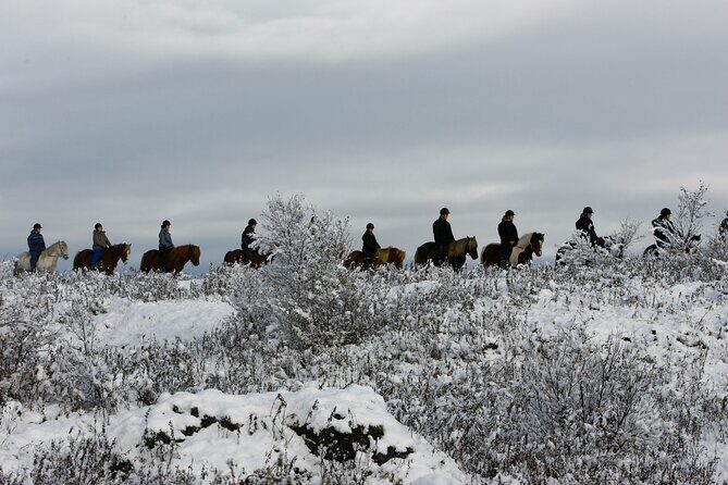 Icelandic Horse Riding and Whale Watching Tour from Reykjavik - The ride start: Ishestar stables outside Reykjavik