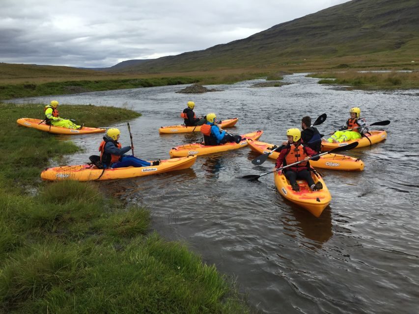 Icelandic Kayak Trip - The ride down Svartá River: gentle streams, fjord-like scenery, and birds