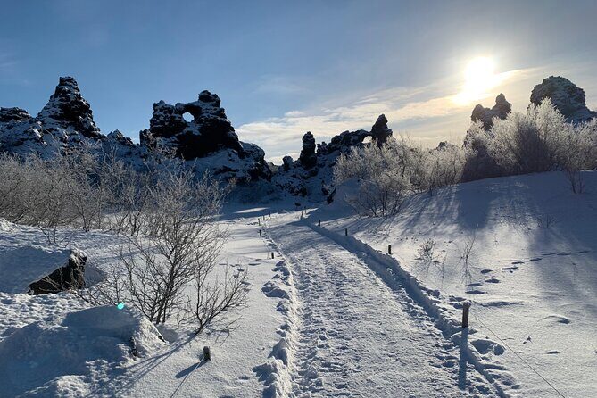 Lake Myvatn and Godafoss Waterfall Day Tour from Akureyri - The guide factor: how you get more than just driving