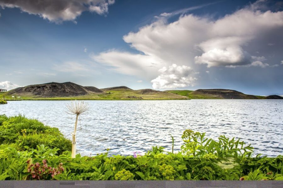 Lake Mývatn Classic Tour from Akureyri - Lake Mývatn country: why this area feels like Iceland turned up to 11