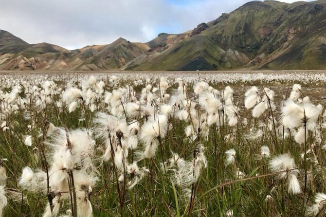 Landmannalaugar by Super Jeep - Landmannalaugar and Fjallabak: Colorful terrain with the guide up front