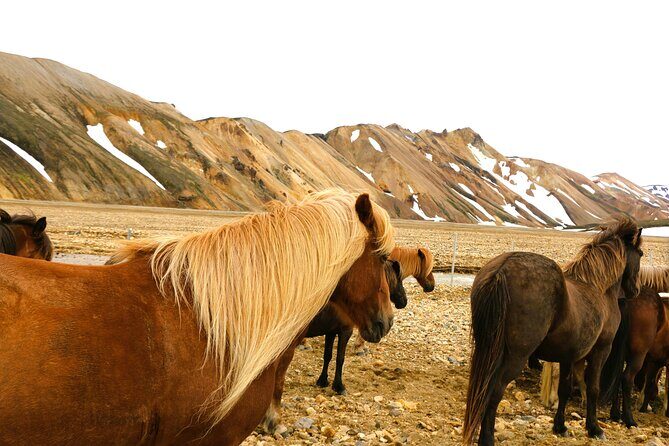 Landmannalaugar Hiking, Haifoss Waterfall and Hot Springs Tour - Bláhylur Crater Lake: a short stop with volcanic timing