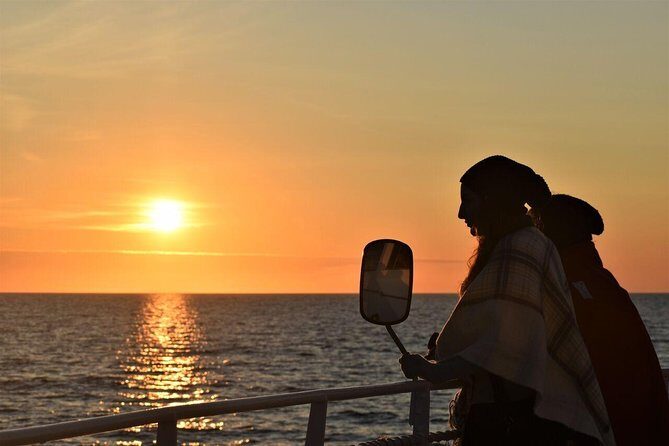Magical Whales in the Midnight Sun | from Reykjavik - Midnight sun whale watching off Reykjavik: what makes this cruise special