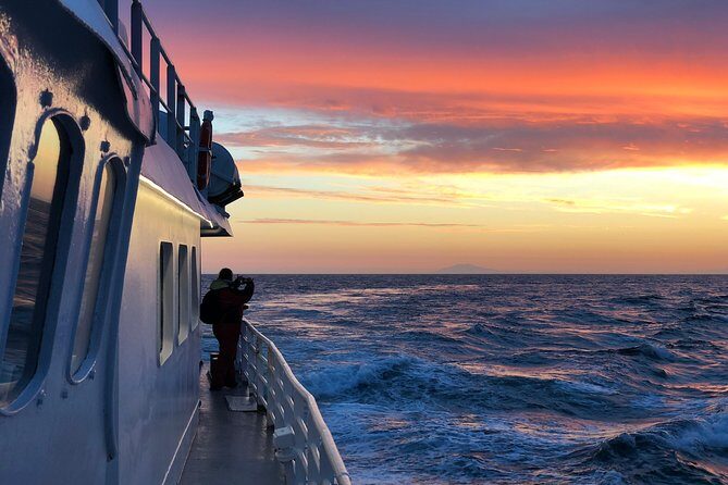 Magical Whales in the Midnight Sun | from Reykjavik - How the Elding Whale Watching experience starts at Old Harbour